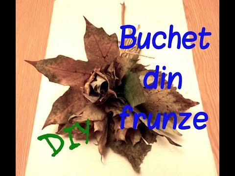 Video: Buchet De Toamnă Pe O Frunză