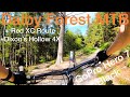 Dalby Forest MTB - Red XC Route | Dixon’s Hollow Orange Bike Park | GoPro Hero 7 Black | 4K 60fps