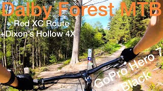 Dalby Forest MTB - Red XC Route | Dixon’s Hollow Orange Bike Park | GoPro Hero 7 Black | 4K 60fps