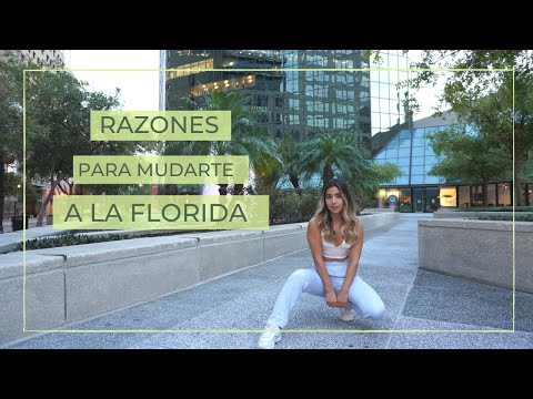 Video: ¿Por qué debería incorporarme en Florida?