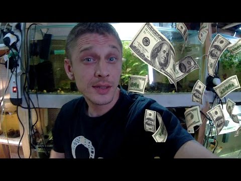 КАКУЮ РЫБКУ РАЗВОДИТЬ ДЛЯ ЗАРАБОТКА??? МОЕ МНЕНИЕ!!!