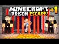 HELP - I'VE BEEN ARRESTED - (Minecraft Prison Escape #1)