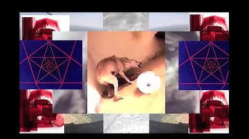 Everlast - The Culling (Official Video)