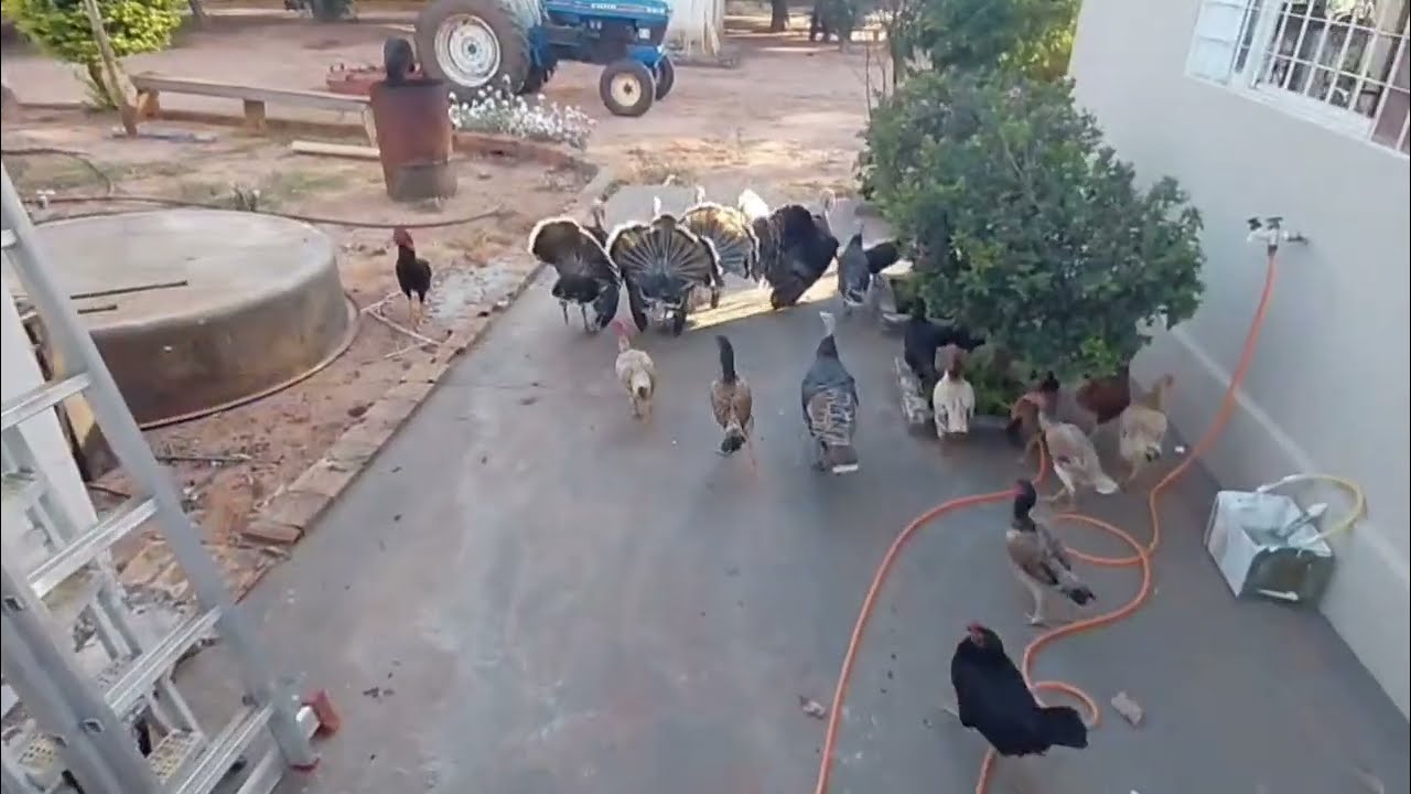 Testei mais uma vez a câmera 