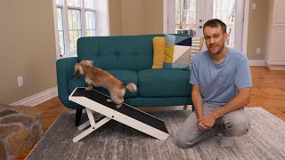 DoggoRamps Training Video  Couch Ramp