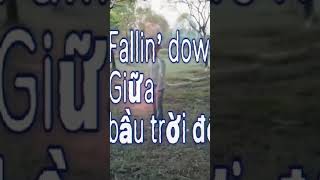 #newwave #tiktokvideo bầu trời đêm