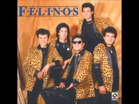 Los Felinos - Morena
