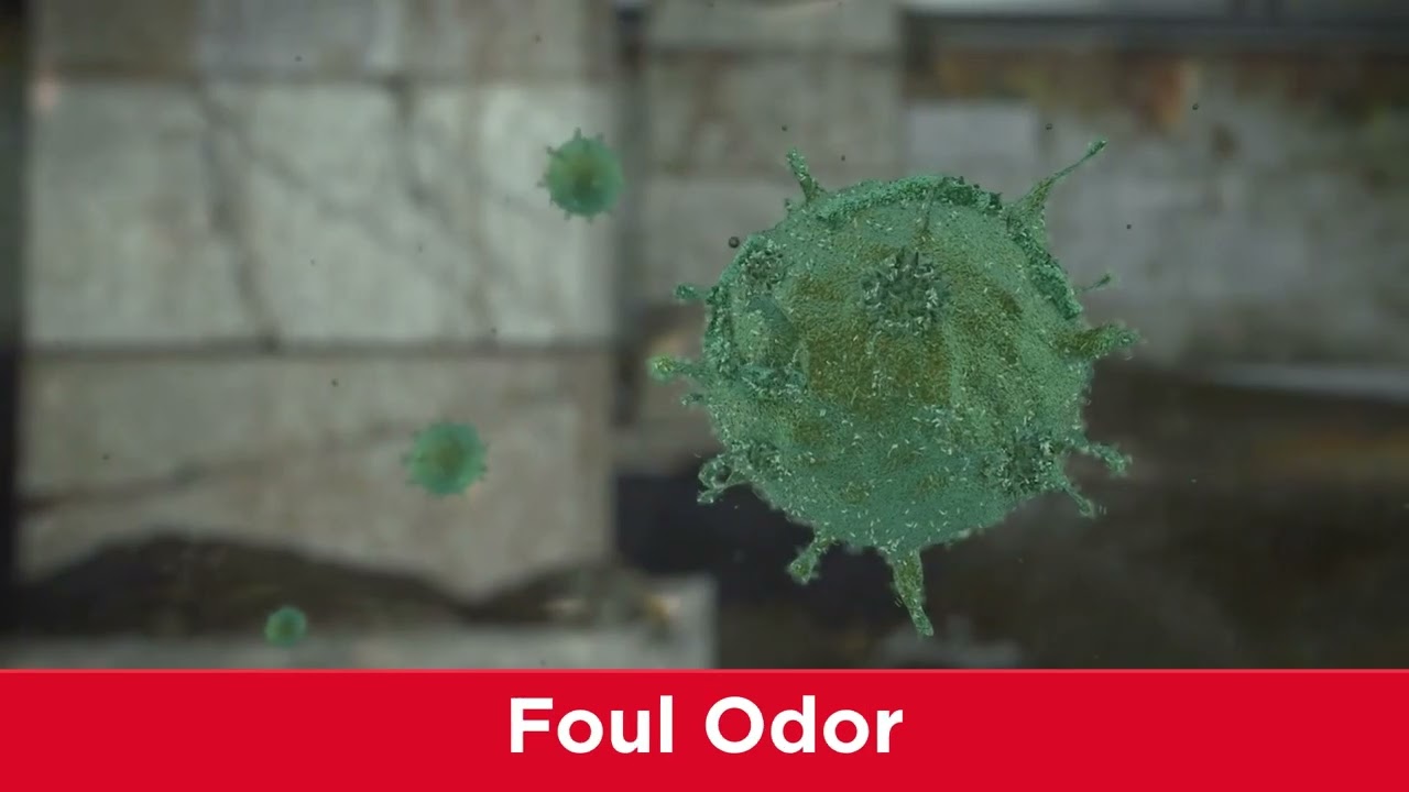 Arizona Foundation Solutions - Your Local Crawl Space Experts