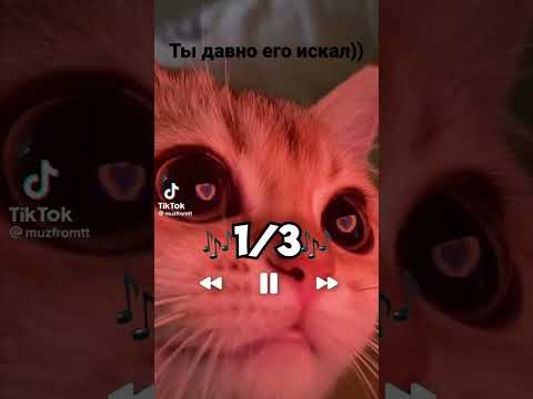 Рингтоны не для звонка звонок рингтон музыка 