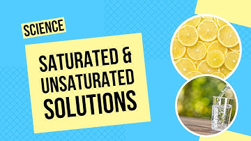 Saturated and Unsaturated Solutions | Science Lesson