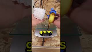 3d Printing needohs pt. 4😭 #3dprinting