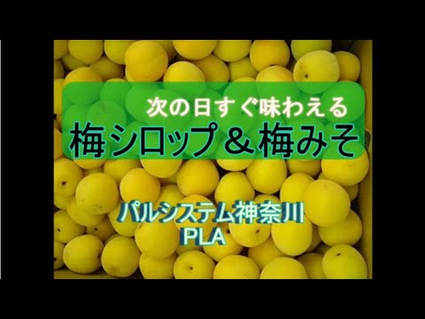 梅しごと21 梅の炭酸シロップ煮 By Pla Youtube