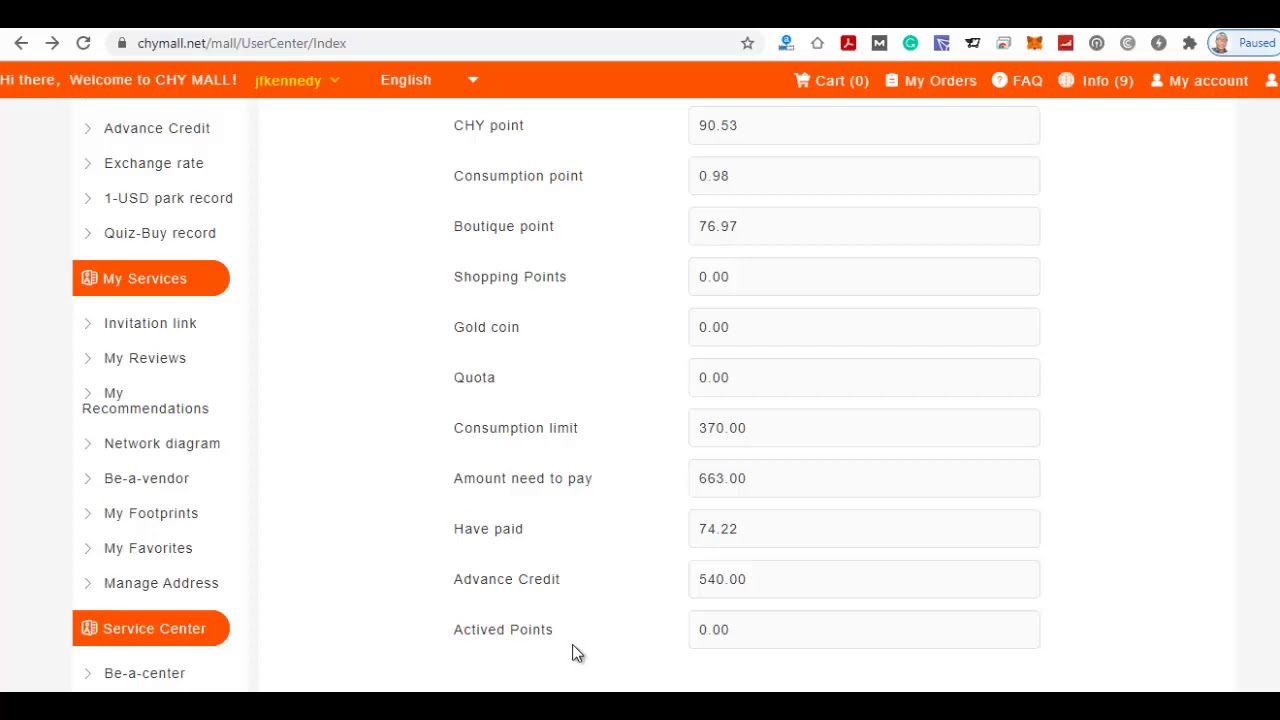 CHY BUSINESS   UNDERSTANDING THE POINT SYSTEM AND WALLETS IN YOUR ACCOUNT BACK OFFICE