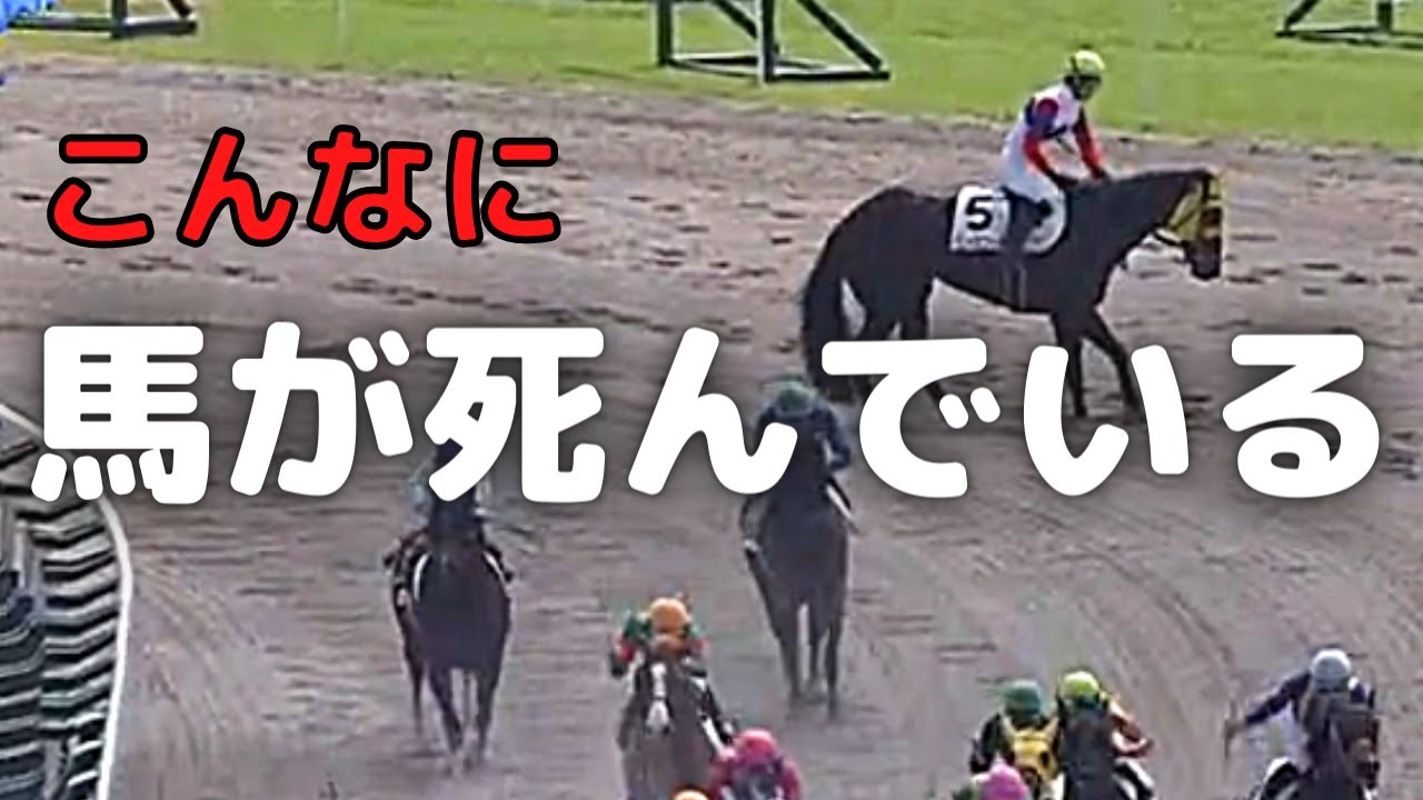 2021年に目の前で予後不良になった競走馬　それでも子供を競馬場に連れていきますか？