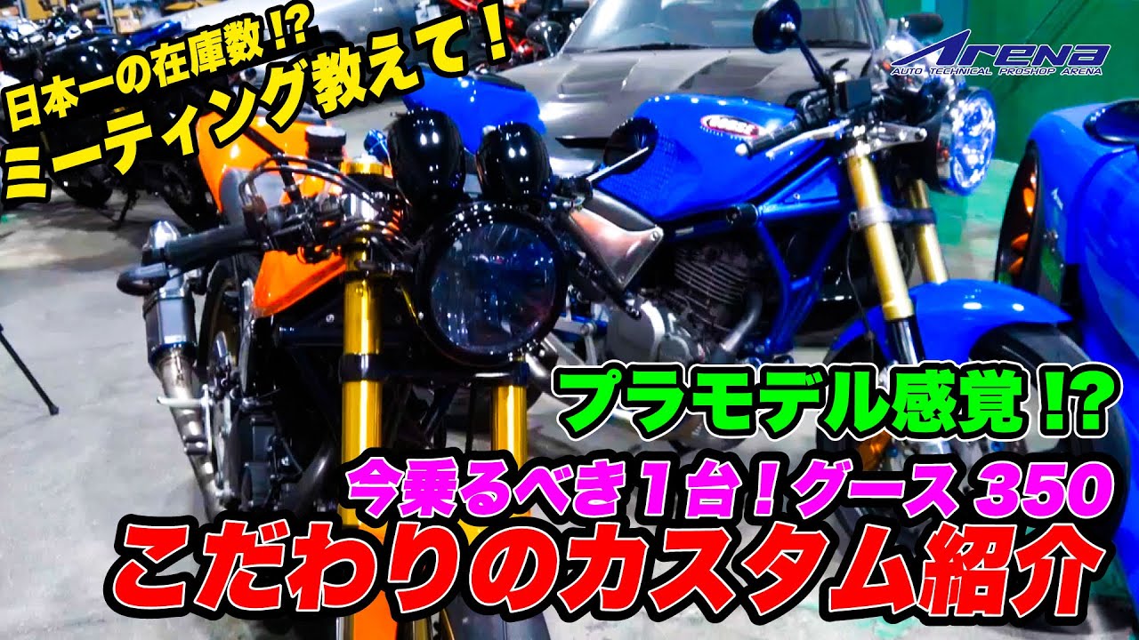 I customized my Goose to give it a modern look! It's so much fun