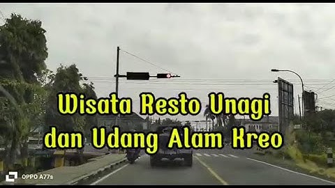 Wisata Resto Unagi dan Udang Alam Kreo Sleman #wisata #kuliner