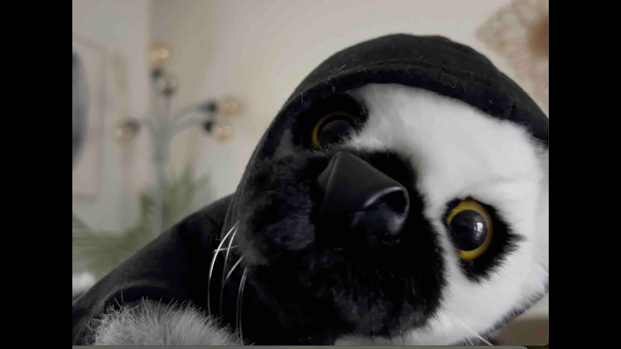 Peter Johnny Got So Snag EPISODE 04