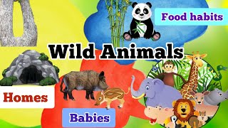 Animal world/Wild animals/Wild animals and their homes/Babies/Food Habits