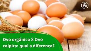 Ovo caipira, de granja ou orgânico: qual a diferença entre eles? -  22/07/2019 - UOL VivaBem