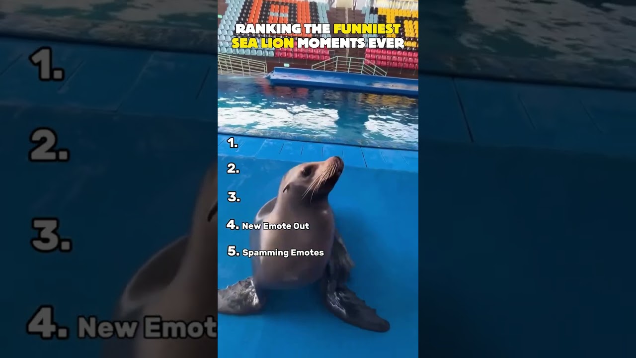 Ranking the Goofiest Sea Lions Ever 😭🦭 #sealions  #funnyanimals  #goofyanimals
