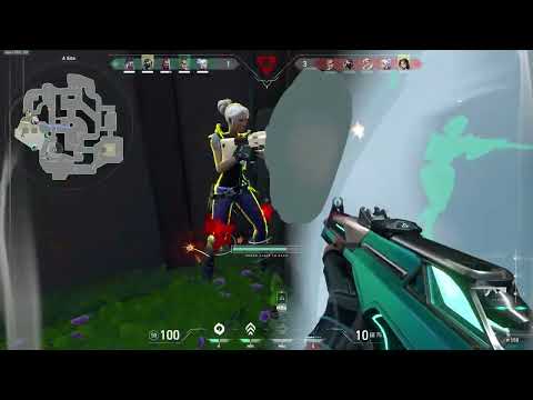 Video HL 5 - youtube