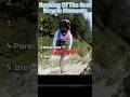 #best#bicycle#moments#