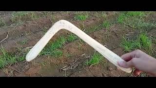 Wooden Windsailor MTA boomerang flight