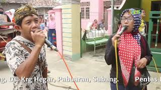 5 buah ngora/PUSAKA WANGI/SENGON/ RANCAJAYA