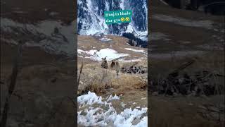 @OMYD🫣BHALO 😱DAR GYA LAST DEKHNAA 🫢 #coversong #ecoadventure #barish