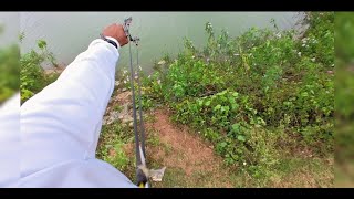 Slingshot fishing for carps