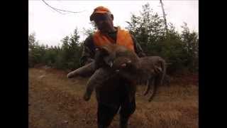 BOBCAT 1&2 2015 16