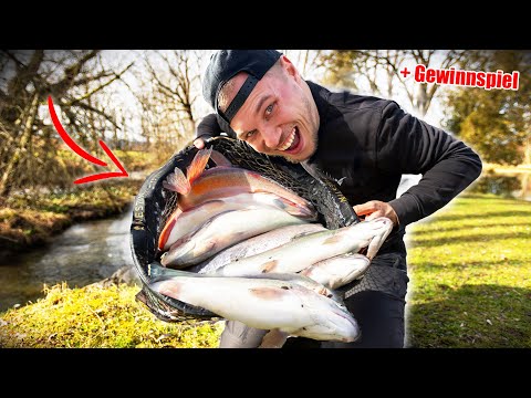 Wir angeln den Teich leer - Winter am Forellensee (10k Special)