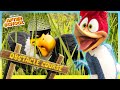 Camp Woo Hoo S WILD Obstacle Course Woody Woodpecker Goes To Camp Netflix Family 