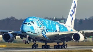 AIRBUS A380 LANDING and DEPARTURE - The TURTLE A380 departs for a TEST FLIGHT (4K)