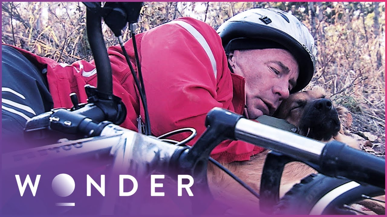 This Man Survived A Dangerous Fall On A Remote Trail Thanks To A Dog | Pet Heroes S1 EP21 | Wonder
