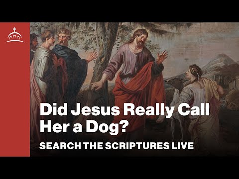 Search the Scriptures - Did Jesus Really Call Her a Dog? [Matthew #63]