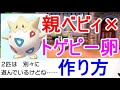 【ポケモン剣盾】トゲピーの卵が出来ない育て屋で別々に遊んでいる進化作り方
