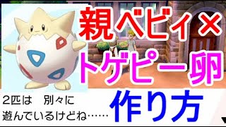 ポケモン剣盾 トゲピーの卵が出来ない育て屋で別々に遊んでいる進化作り方 Youtube