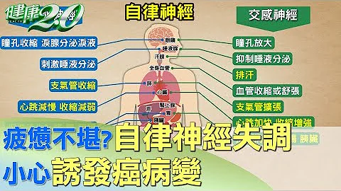 疲惫不堪？ 自律神经失调.疲劳 小心诱发癌病变 健康2.0 - 天天要闻