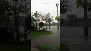 Hujan Deras Sore Ini di Desaku