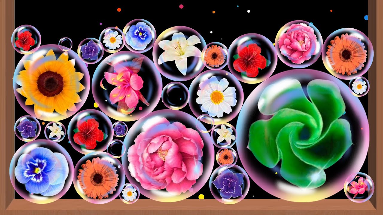 Merge Flowers 2048 - Pop the bubbles, 4096 balls game, puzzle game, suika ball game, drop and merge