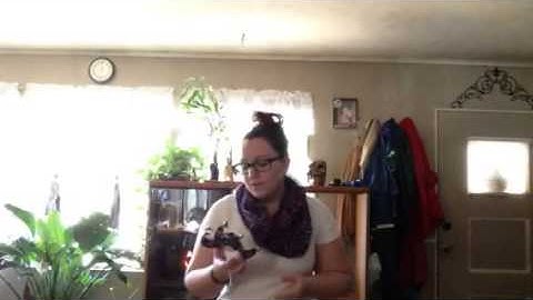 Self-Concept Speech:Jamie Allen