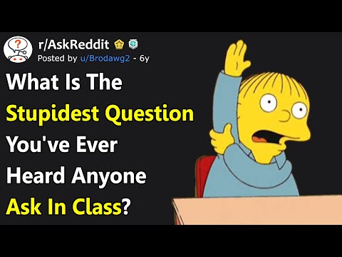 what's-the-stupidest-question-you've-ever-heard-anyone-ask-in-class?-(r/askreddit)