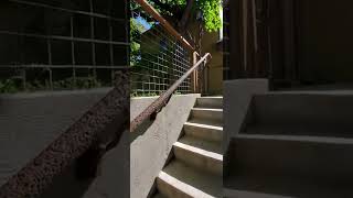 Outdoor Railing with Bark Texture, Light poles, and Twig Brackets. TexturalSteel.WordPress.com