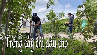 Chị dâu mang cây đến cho, đang trồng giật mình tiếng còi báo động vang lên. Cuộc sống ở Đức