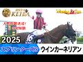 スプリンターズS 2026の前に見たい！ウインカーネリアンが勝利した2025年【胸熱！！Winning Re:Run】