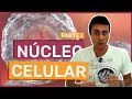 Núcleo Celular - Parte 1 - Prof. Paulo Jubilut