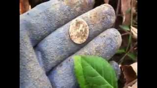 Popojojo7 Metal Detecting- Weekend Hunting