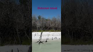 Short visit to Dicksman island #florida #boating #shelling #lifeisbutadream #beach