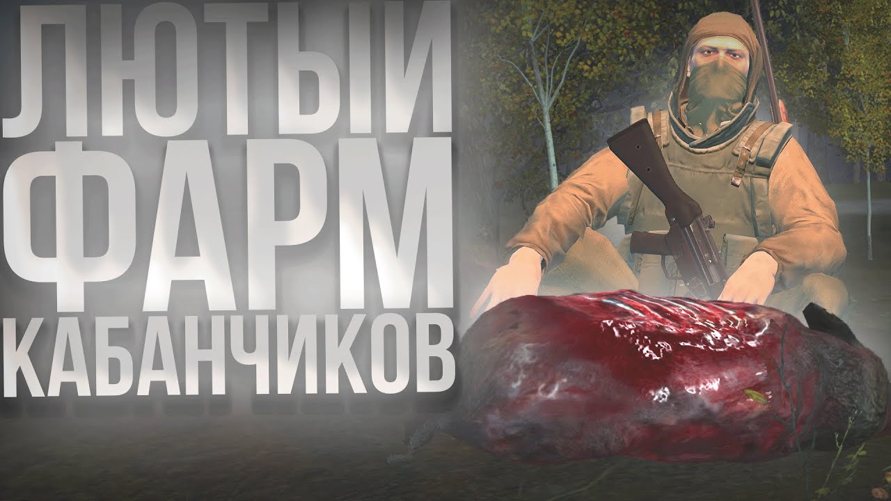 12+ ЧАСОВ ФАРМА НА МОЛОДЫХ КАБАНЧИКАХ В STAY OUT